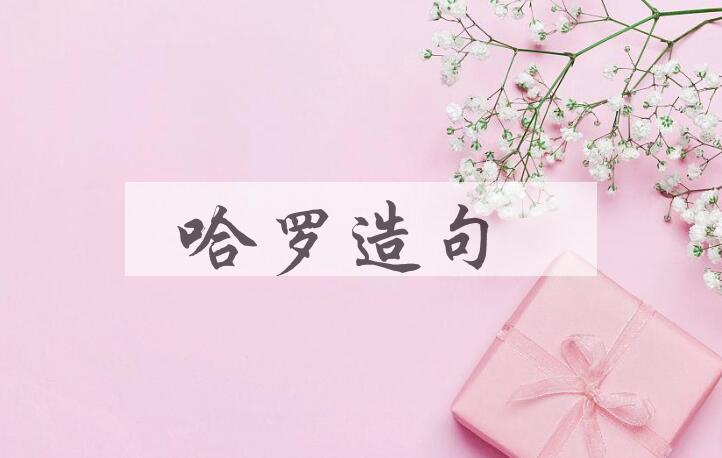 用哈罗造句