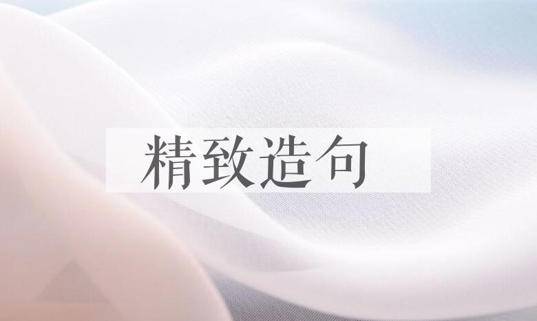 用精致造句