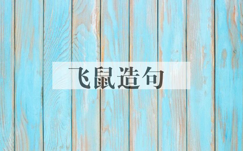 用飞鼠造句