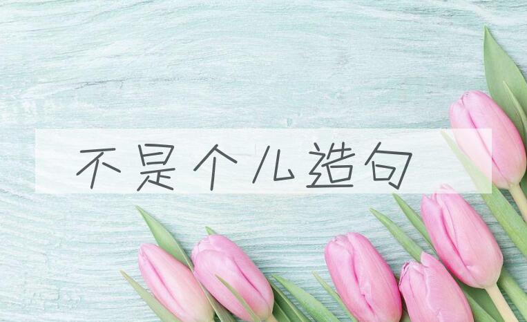用不是个儿造句