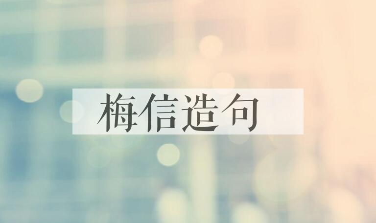 用梅信造句