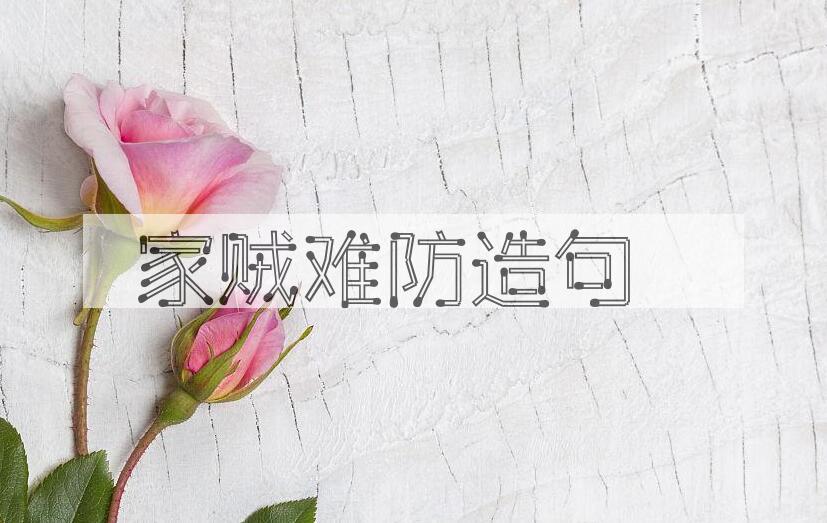 用家贼难防造句