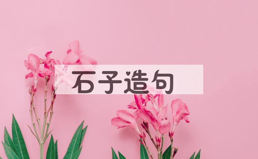 用石子造句
