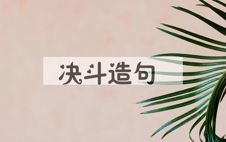 用决斗造句