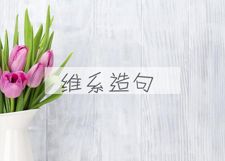 用维系造句