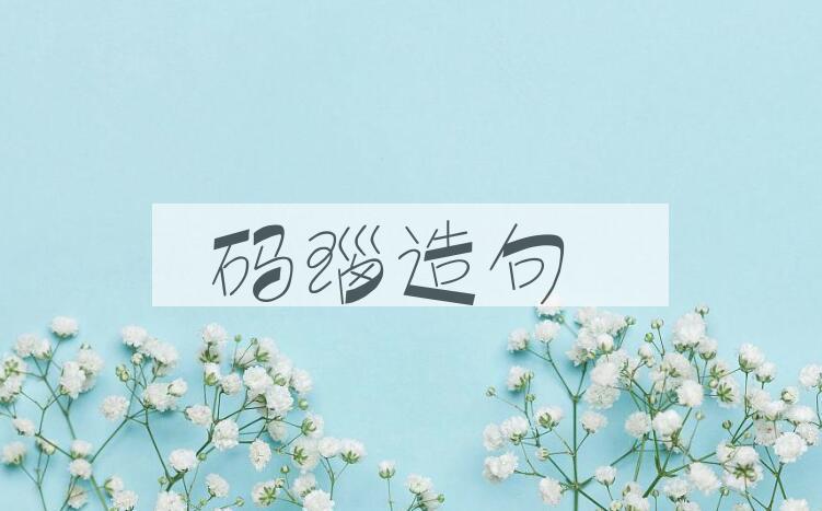 用码瑙造句