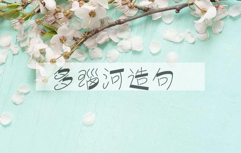 用多瑙河造句