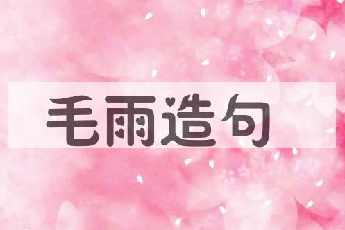 用毛雨造句