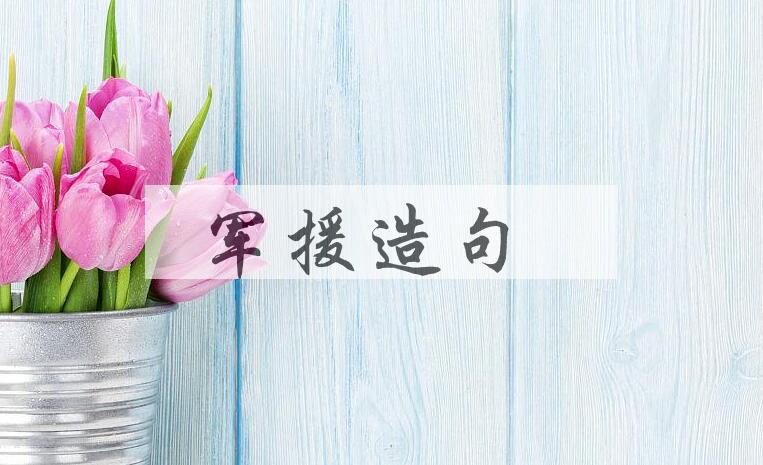 用军援造句