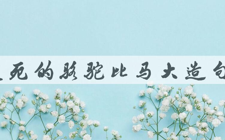 用瘦死的骆驼比马大造句