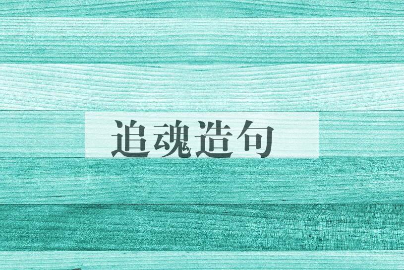 用追魂造句