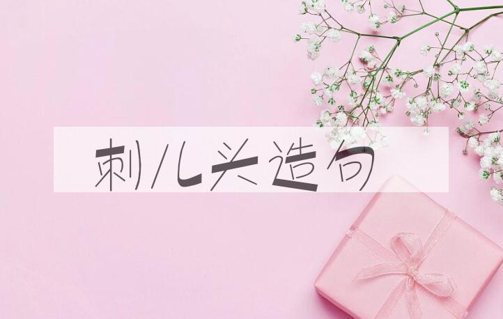 用刺儿头造句
