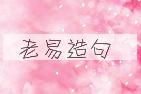 用老易造句