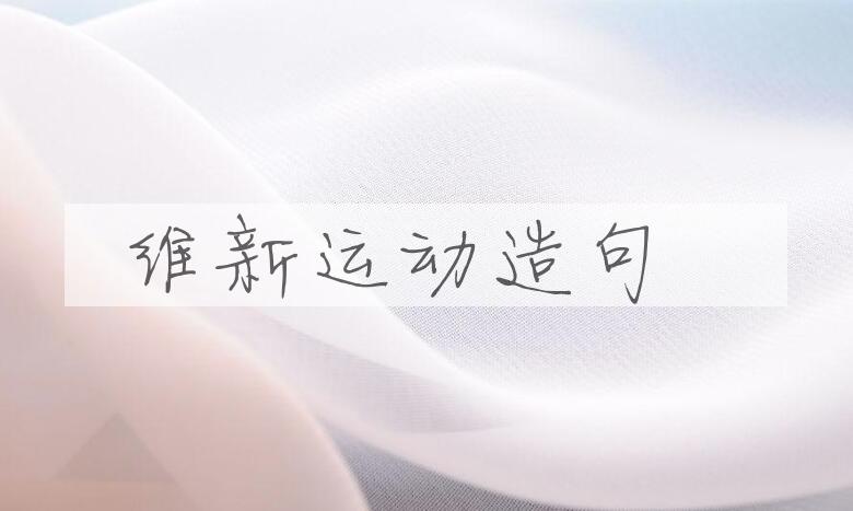 用维新运动造句