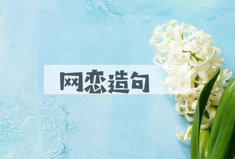 用网恋造句