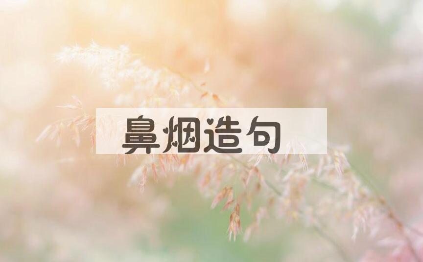 用鼻烟造句