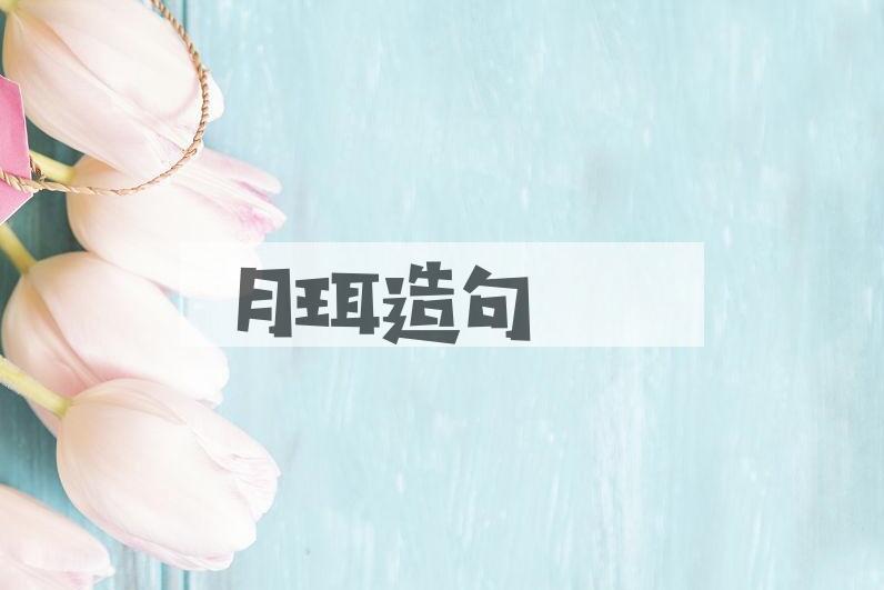 用月珥造句