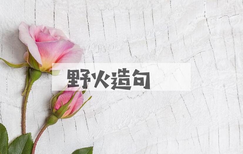 用野火造句