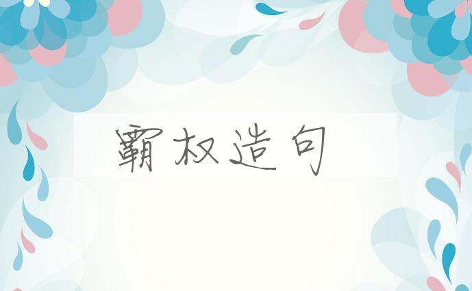 用霸权造句