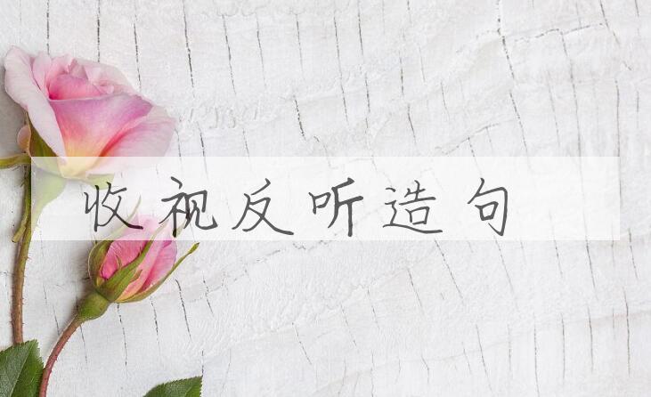 用收视反听造句