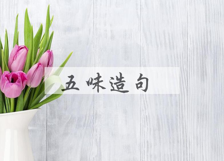 用五味造句