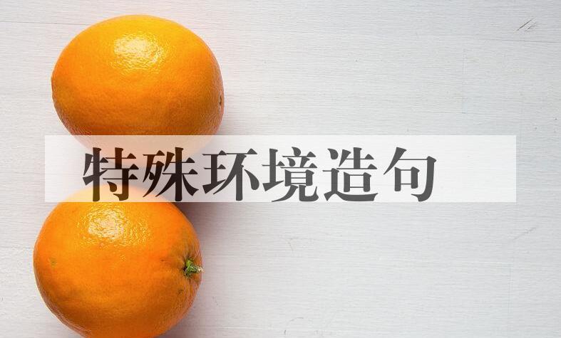 用特殊环境造句