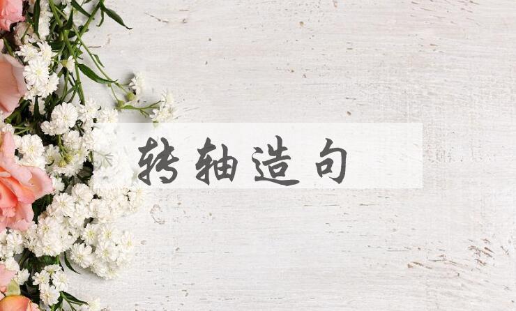 用转轴造句
