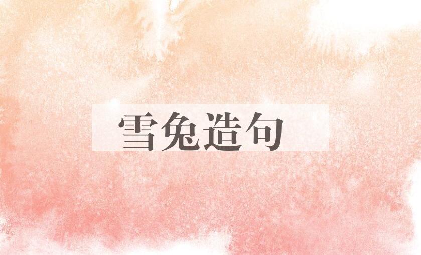 用雪兔造句