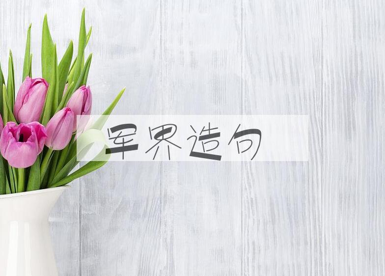 用军界造句