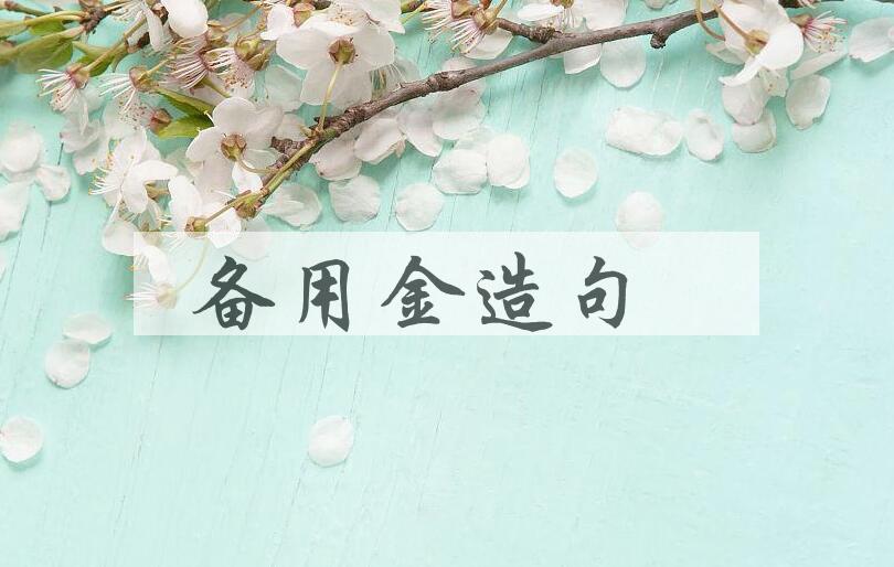 用备用金造句