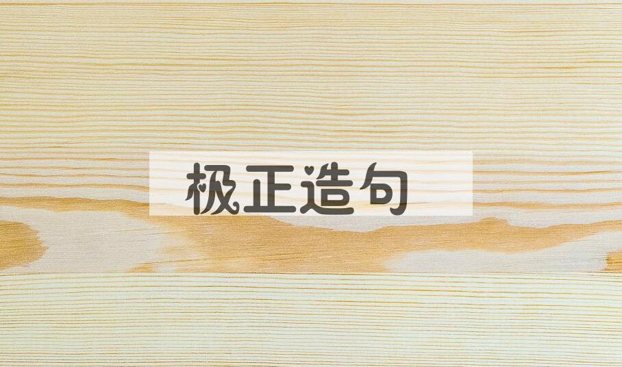 用极正造句