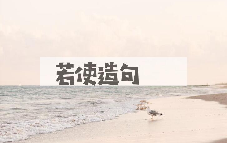 用若使造句