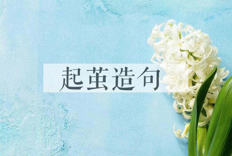 用起茧造句