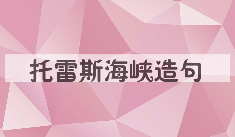 用托雷斯海峡造句