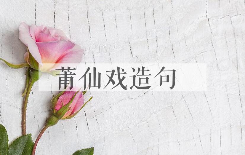 用莆仙戏造句