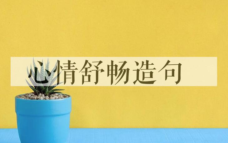 用心情舒畅造句