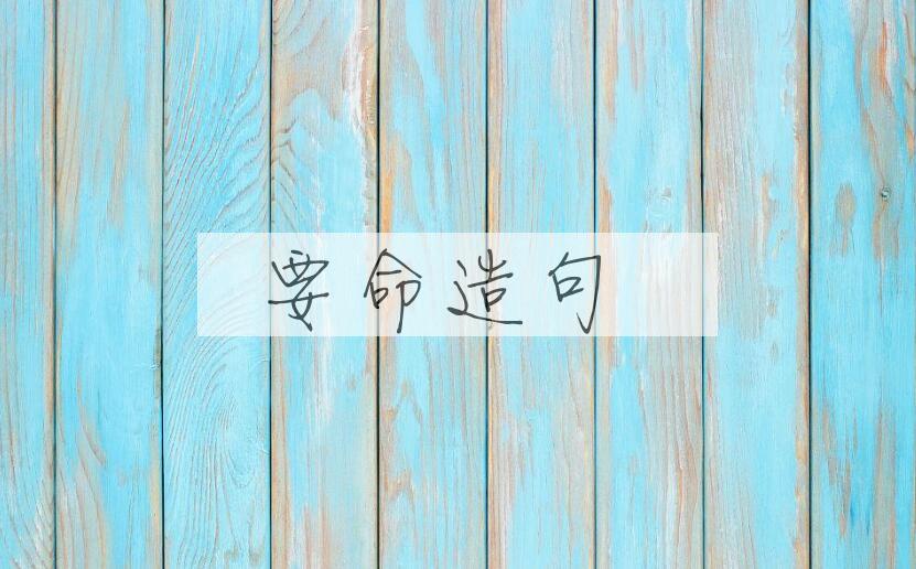 用要命造句