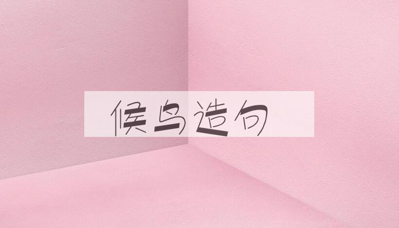 用候鸟造句