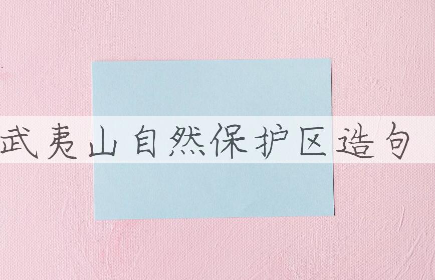 用武夷山自然保护区造句