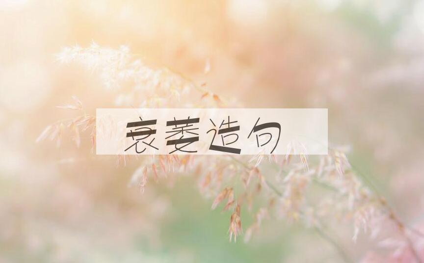 用衰萎造句