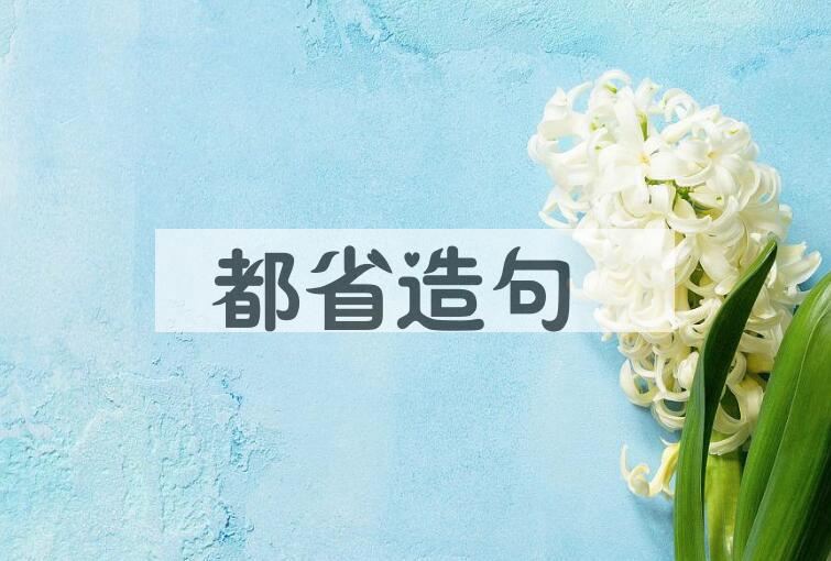 用都省造句