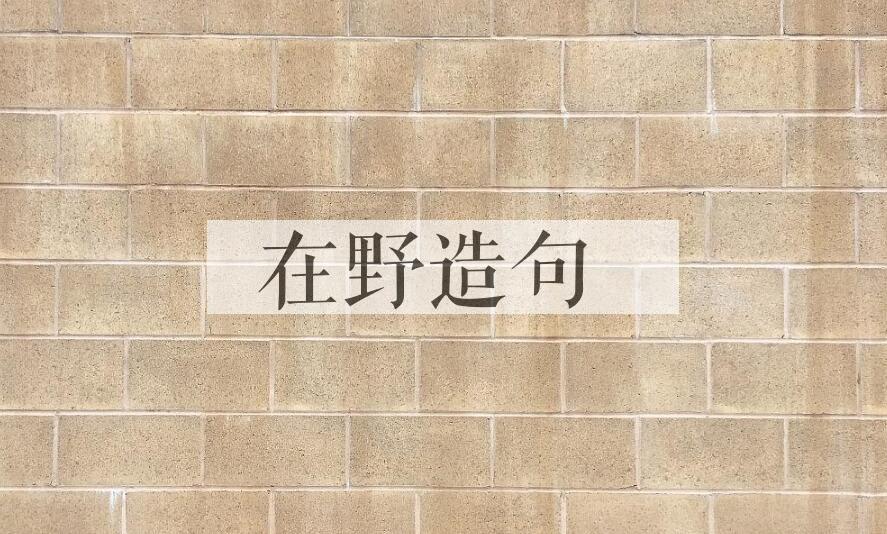 用在野造句