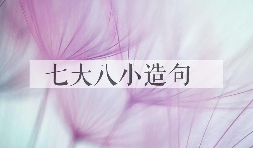 用七大八小造句