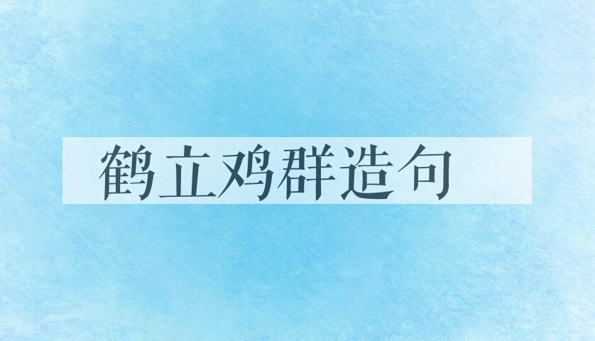 用鹤立鸡群造句
