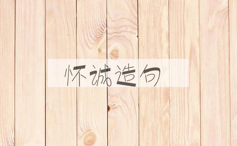 用怀诚造句