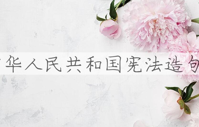 用中华人民共和国宪法造句