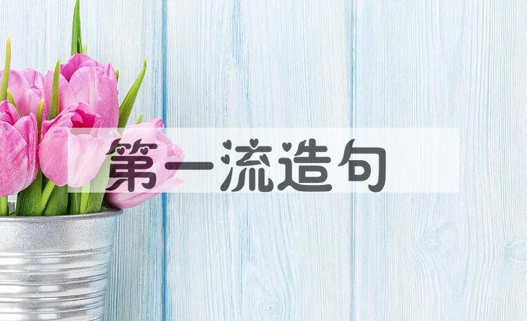 用第一流造句