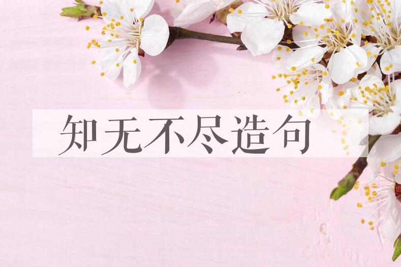 用知无不尽造句