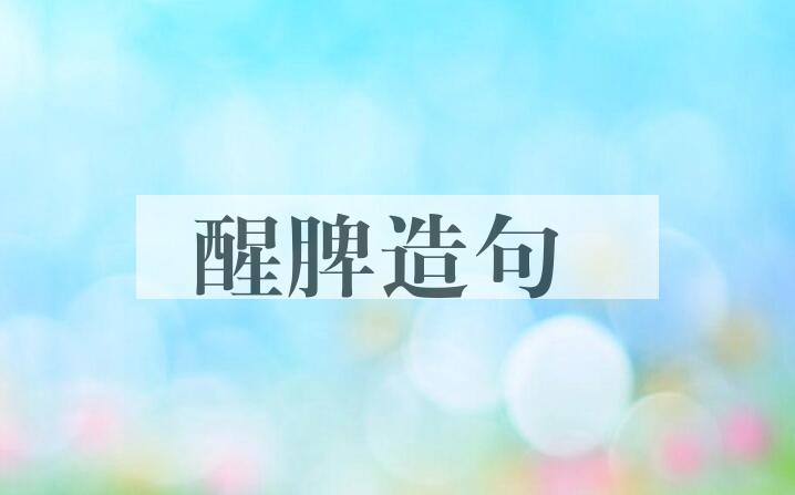 用醒脾造句
