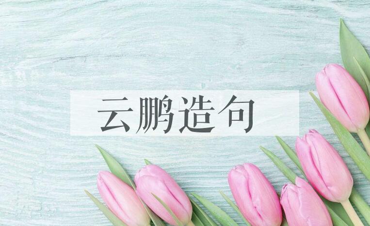 用云鹏造句
